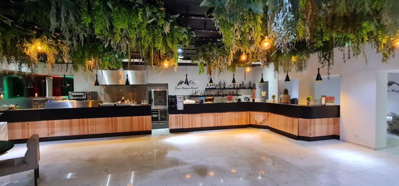 Oliwne Wzgorza Villa Stronie Slaskie Ngoại thất bức ảnh
